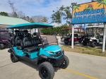 2025 Venom Strike 6 Passenger Lifted Lsv Pic 2737_V20250516143936
