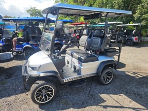 2025 DACH Falcon LSV for sale by dealer