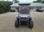 2025 Venom Stealth 4 Passenger Lsv Pic 2737_V202507031009475