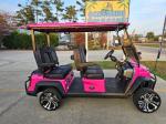 2025 Venom Stealth 4 Passenger Lsv Pic 2737_V202507031012222