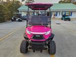 2025 Venom Stealth 4 Passenger Lsv Pic 2737_V202507031012225