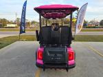 2025 Venom Stealth 4 Passenger Lsv Pic 2737_V202507031012226