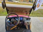 2025 Venom Stealth 4 Passenger Lsv Pic 2737_V202507031012227