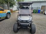 2025 Venom Strike 6 Passenger Lsv Pic 2737_V202509161101274