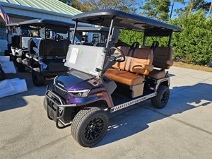 2025 DACH Apollo for sale by dealer