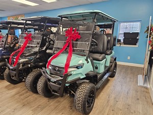 Picture of a 2026 AXIOS Arion E40L 4 Passenger