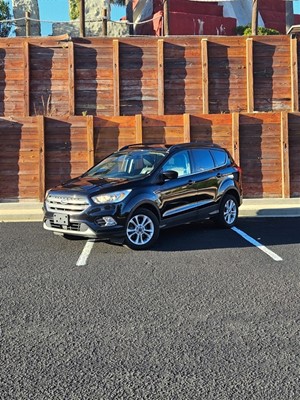 Picture of a 2019 Ford Escape SEL 4WD