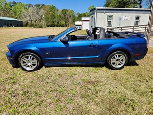 Picture of a 2006 Ford Mustang GT Premium Convertible