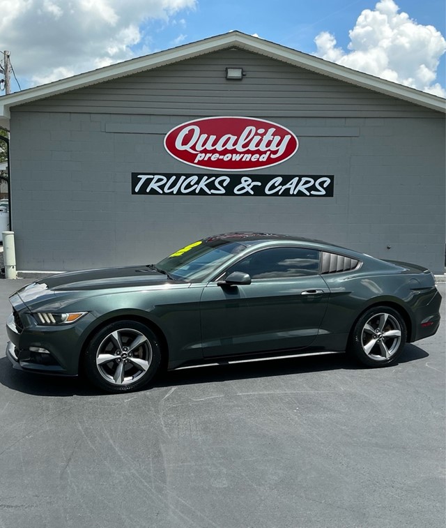 FORD MUSTANG in Wilson