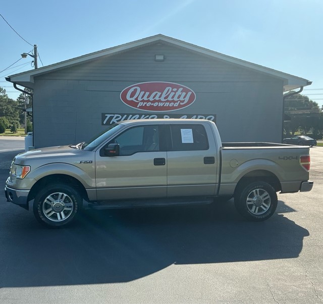 FORD F150 SUPERCREW in Wilson