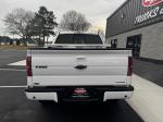 2014 Ford F150 Pic 2763_V2026030919314300004