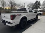 2014 Ford F150 Pic 2763_V2026030919314300005