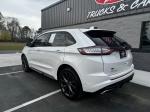 2015 Ford Edge Pic 2763_V2026031619321800013