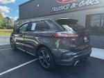 2019 Ford Edge Pic 2763_V2026033119313000033