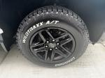 2022 Chevrolet Silverado 1500 Pic 2763_V2026041719312800008