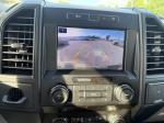 2020 Ford F-150 Pic 2777_V2025071112542117