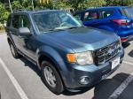 2011 Ford Escape Pic 2777_V202507151104382
