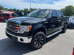 2014 Ford F-150 Pic 2777_V202507251124212