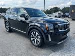 2020 Kia Telluride Pic 2777_V202509161144137