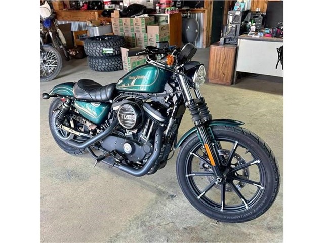 Harley-Davidson XL883N - in Mt Airy