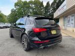 2016 Audi Sq5 Pic 2811_V202504301115404