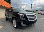 2016 Cadillac Escalade Pic 2811_V2025061010160613