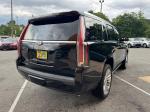 2016 Cadillac Escalade Pic 2811_V202506101016069