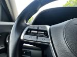 2020 Kia Telluride Pic 2811_V2025061711130832