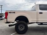2017 Ford F-250 Sd Pic 2811_V202506241207097