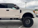 2017 Ford F-250 Sd Pic 2811_V202506241207098