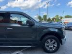 2015 Ford F-150 Pic 2811_V202507231201219