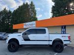 2019 Ford F-150 Pic 2811_V2025080510080611