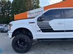 2019 Ford F-150 Pic 2811_V202508051008062