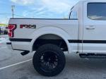 2019 Ford F-150 Pic 2811_V202508051008068