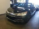 2017 Honda Accord Pic 2811_V20250820115316
