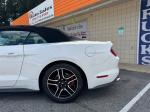 2020 Ford Mustang Pic 2811_V202508261211144