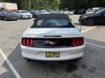 2020 Ford Mustang Pic 2811_V202508261211146