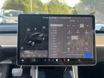 2020 Tesla Model 3 Pic 2811_V2026030310293225