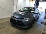 2019 Toyota Corolla Pic 2811_V20260318111352