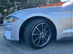 2019 Ford Mustang Pic 2811_V2026040716282533