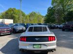 2019 Ford Mustang Pic 2811_V202604071628256