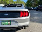 2019 Ford Mustang Pic 2811_V202604071628258