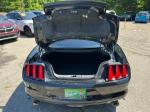 2015 Ford Mustang Pic 2811_V2026041513560519