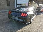 2015 Ford Mustang Pic 2811_V202604151356054
