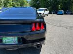 2015 Ford Mustang Pic 2811_V202604151356057