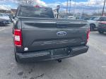 2019 Ford F-150 Pic 2824_V202402241100594