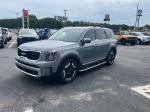 2023 Kia Telluride Pic 2824_V202409161253432