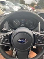 2021 Subaru Crosstrek Pic 2824_V2024103112353013