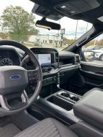 2022 Ford F-150 Pic 2824_V202412091329579