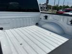 2019 Ford F-150 Pic 2824_V202504181238545